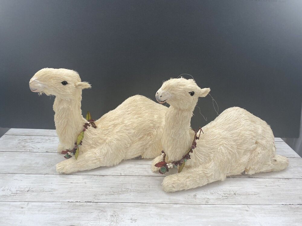 Large Pair Decorative Nativity SITTING Lamas/Camels 11x16"